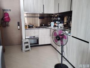 滙都 2期 滙都 II 5座 - 28NTS – 香港北部都會區