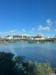 1760408914524652e5-43f0-4baf-a0d3-1f30d1348ad6.jpeg 翠怡花園 3期 11座 - 28NTS – 香港北部都會區