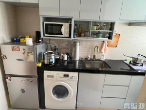 兆隆苑 - 28NTS – 香港北部都會區