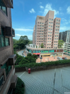 麗珊園 1座 - 28NTS – 香港北部都會區