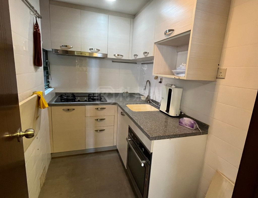 麗珊園 1座 - 28NTS – 香港北部都會區