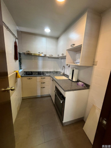 麗珊園 1座 - 28NTS – 香港北部都會區