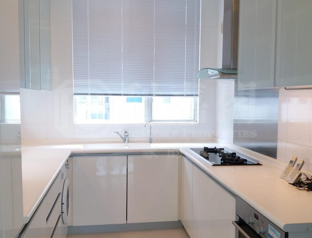 藍天海岸 2期 水藍天 - 28NTS – 香港北部都會區