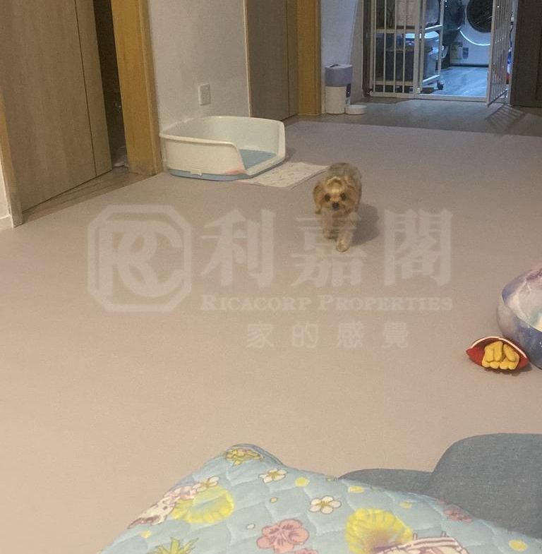 䨇寓 - 28NTS – 香港北部都會區