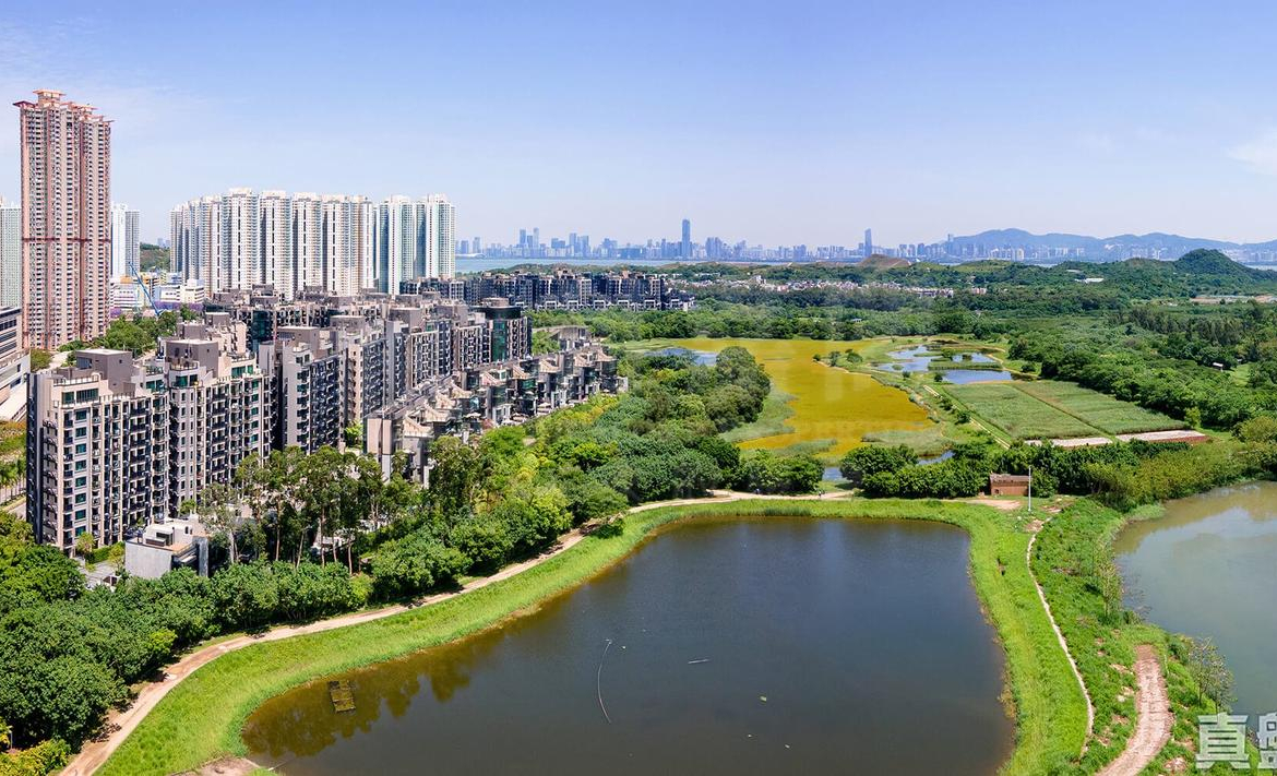 WETLAND SEASONS PARK 1期 10座 - 28NTS – 香港北部都會區