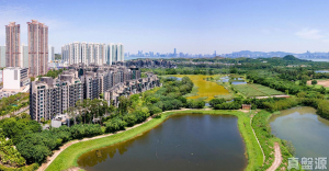 WETLAND SEASONS PARK 1期 10座 - 28NTS – 香港北部都會區