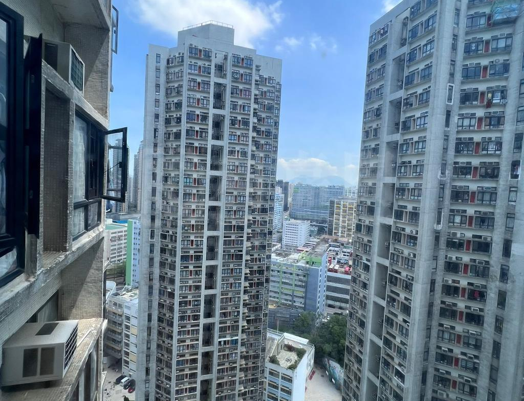 大興花園 2期 3座 - 28NTS – 香港北部都會區