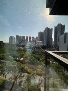 WETLAND SEASONS PARK 1期 17座 - 28NTS – 香港北部都會區
