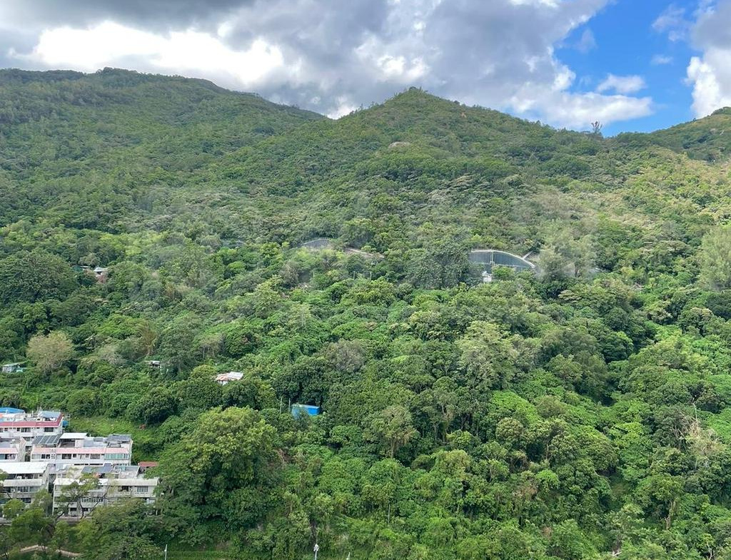 麗城花園 2期 8座 - 28NTS – 香港北部都會區