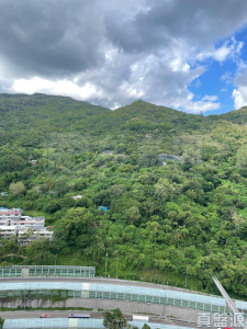 麗城花園 2期 8座 - 28NTS – 香港北部都會區