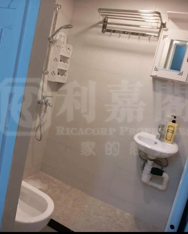 天平邨 天賀樓 (3座) - 28NTS – 香港北部都會區