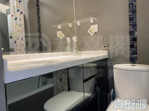 頌雅苑 頌真閣 (A座) - 28NTS – 香港北部都會區