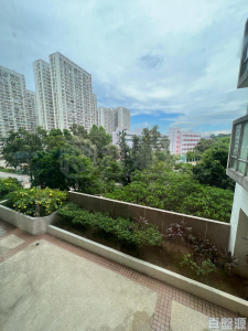 粉嶺中心 1期 C座 - 28NTS – 香港北部都會區