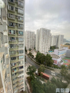 粉嶺中心 1期 C座 - 28NTS – 香港北部都會區