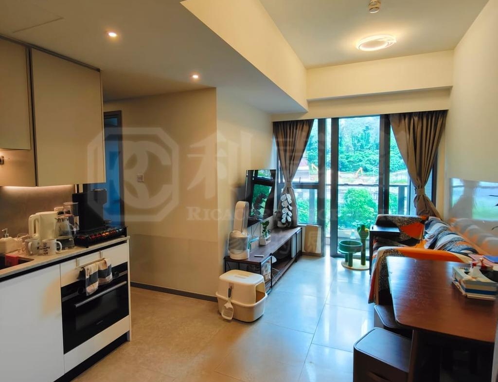 NOVO LAND 1B期 Bergen 3座 - 28NTS – 香港北部都會區