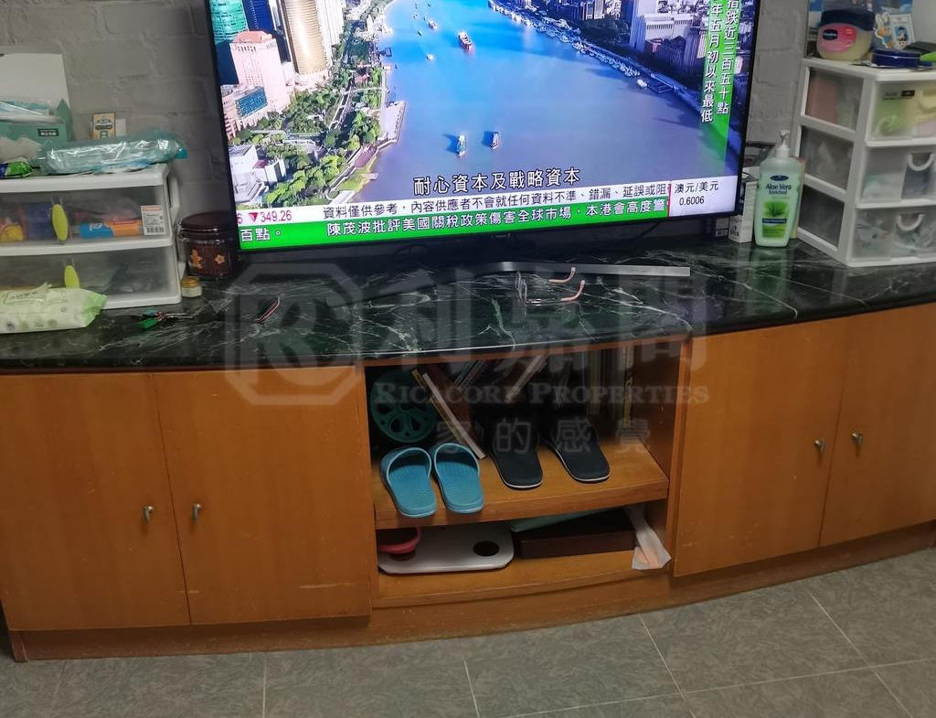 1760696860dd50f4ba-4b3d-4311-a447-a23cd800a1a9.jpeg 天麗苑 - 28NTS – 香港北部都會區