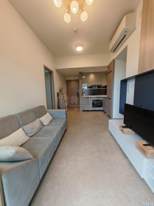 WETLAND SEASONS PARK 1期 23座 - 28NTS – 香港北部都會區