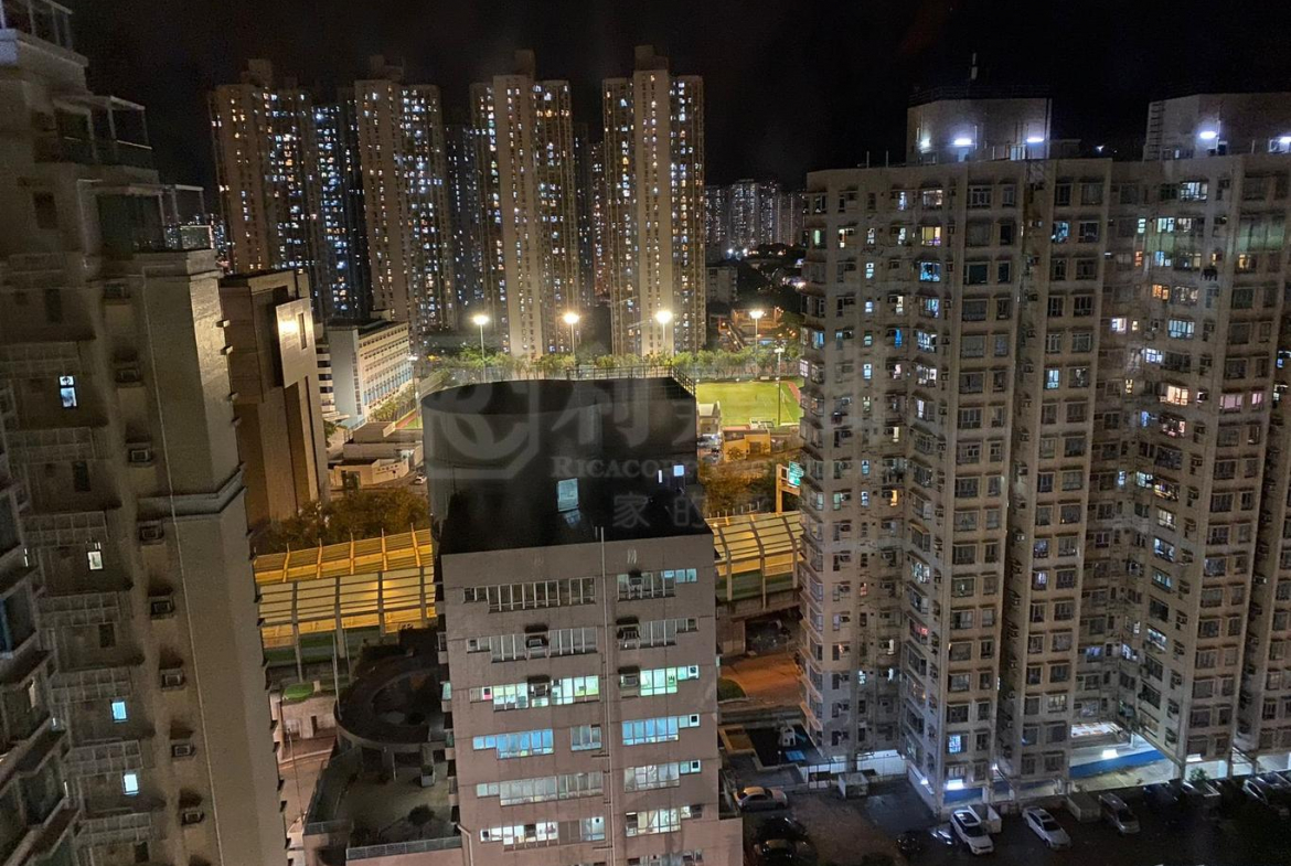 龍成花園 2座 - 28NTS – 香港北部都會區