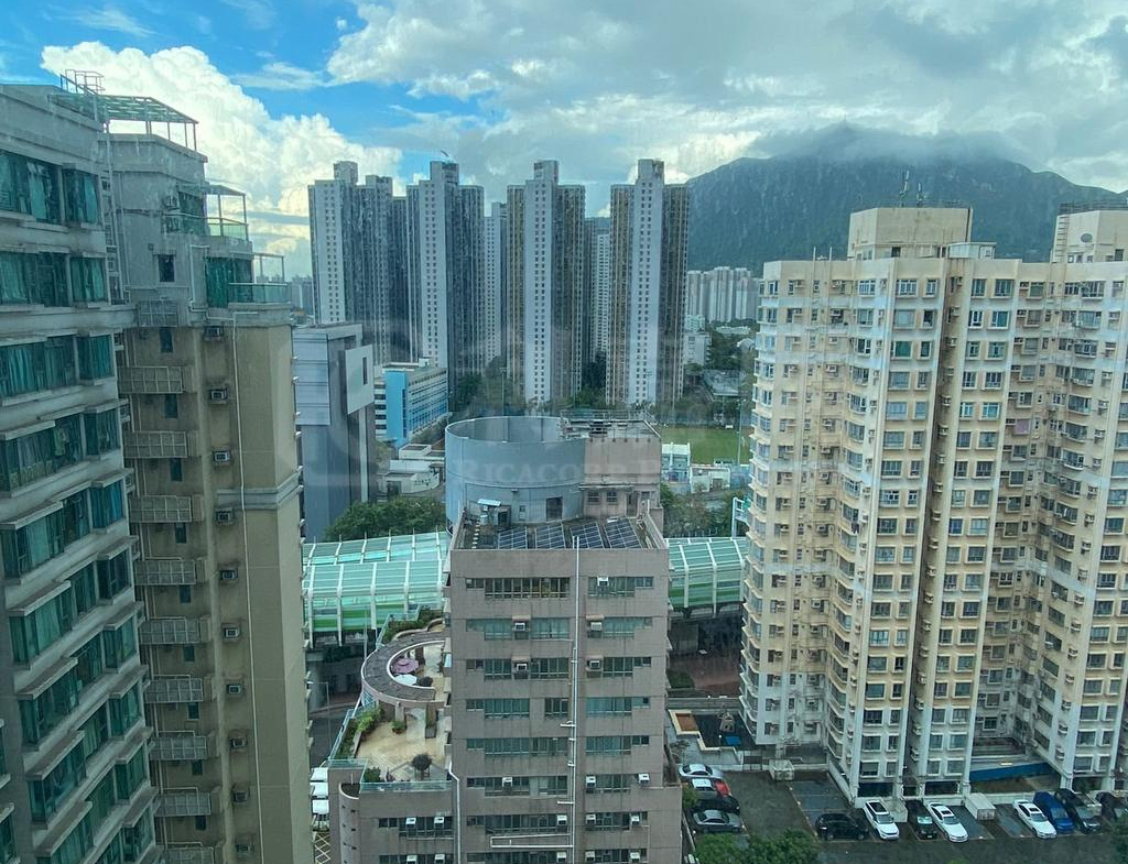 龍成花園 2座 - 28NTS – 香港北部都會區