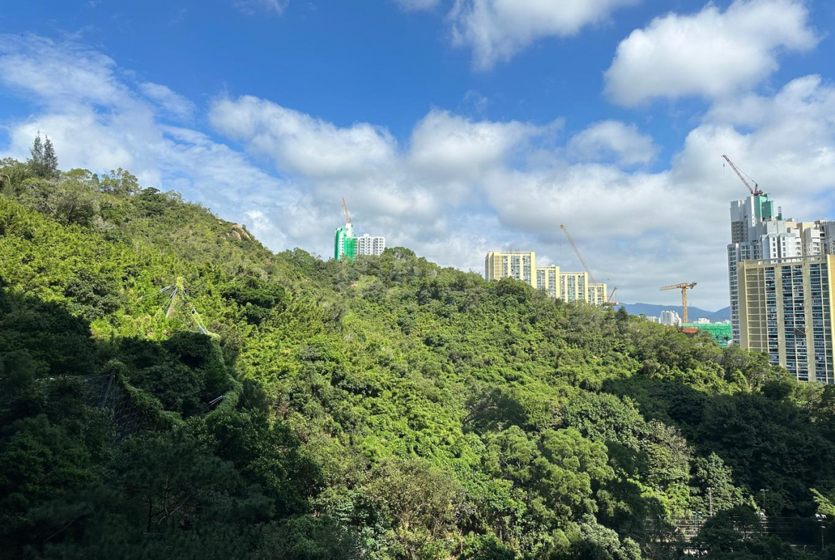 明翹匯 2座 - 28NTS – 香港北部都會區