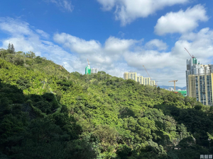 明翹匯 2座 - 28NTS – 香港北部都會區