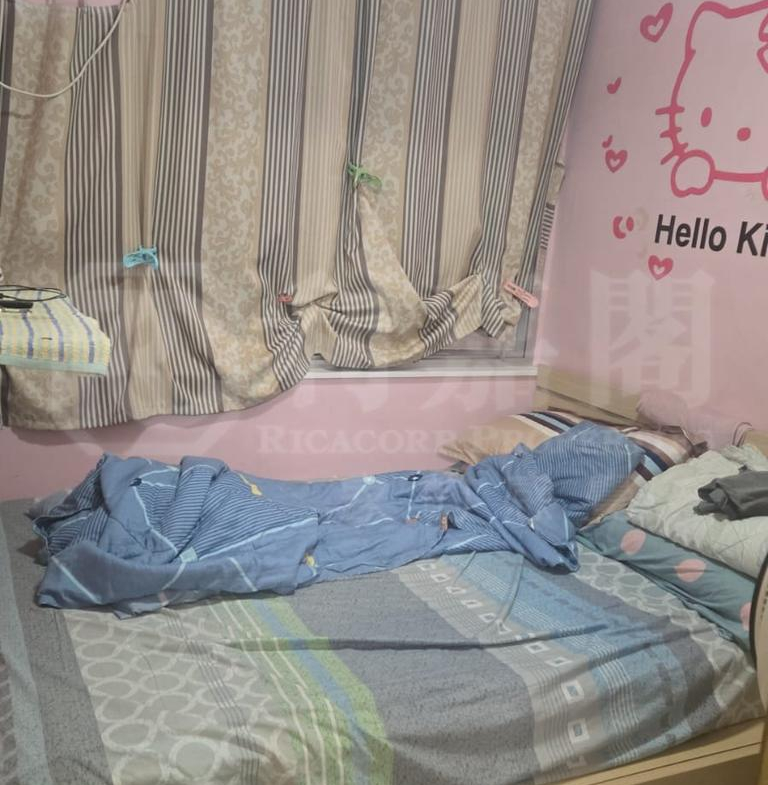 兆軒苑 順生閣 (A座) - 28NTS – 香港北部都會區