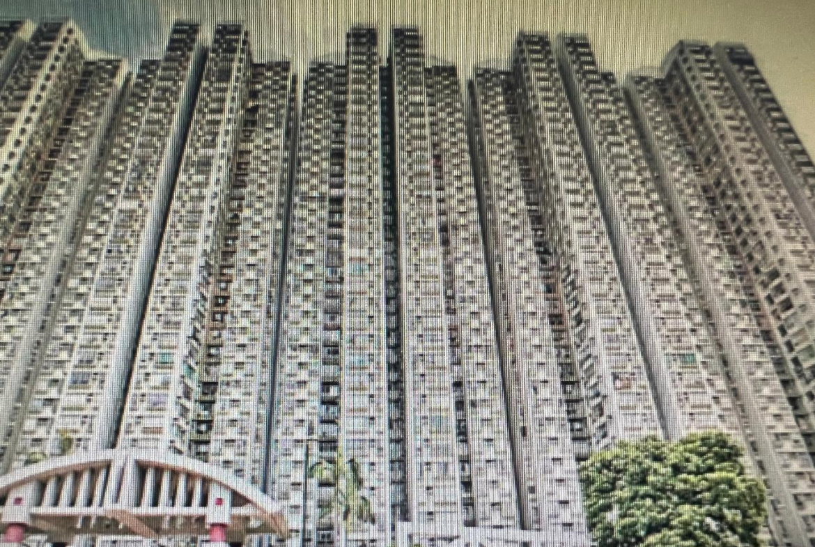 17610381578155fe3e-c3b2-4770-bf52-a80e1638addd.jpeg 麗都花園 1座 - 28NTS – 香港北部都會區