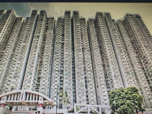 17610381578155fe3e-c3b2-4770-bf52-a80e1638addd.jpeg 麗都花園 1座 - 28NTS – 香港北部都會區