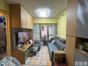 環宇海灣 2座 - 28NTS – 香港北部都會區