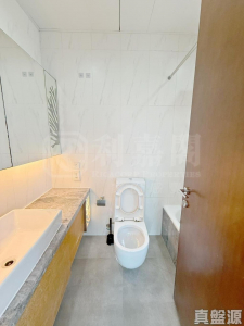 南岸 - 28NTS – 香港北部都會區