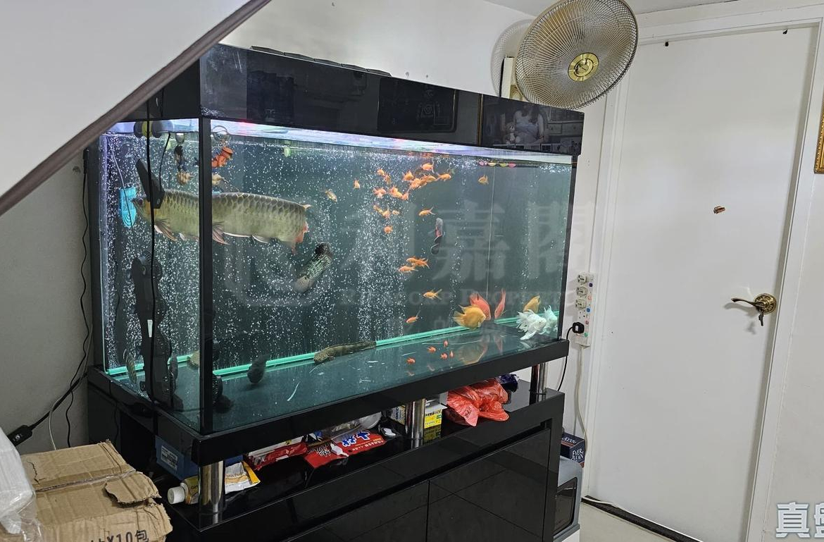 水蕉新村 202號 - 28NTS – 香港北部都會區