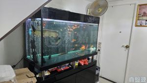 水蕉新村 202號 - 28NTS – 香港北部都會區