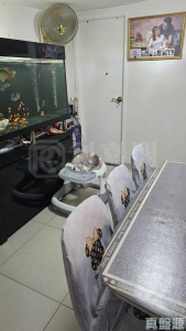 水蕉新村 202號 - 28NTS – 香港北部都會區