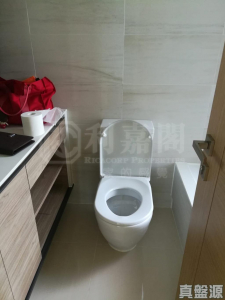 滿名山 滿庭 12座 - 28NTS – 香港北部都會區