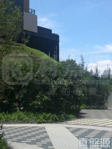 滿名山 滿庭 12座 - 28NTS – 香港北部都會區