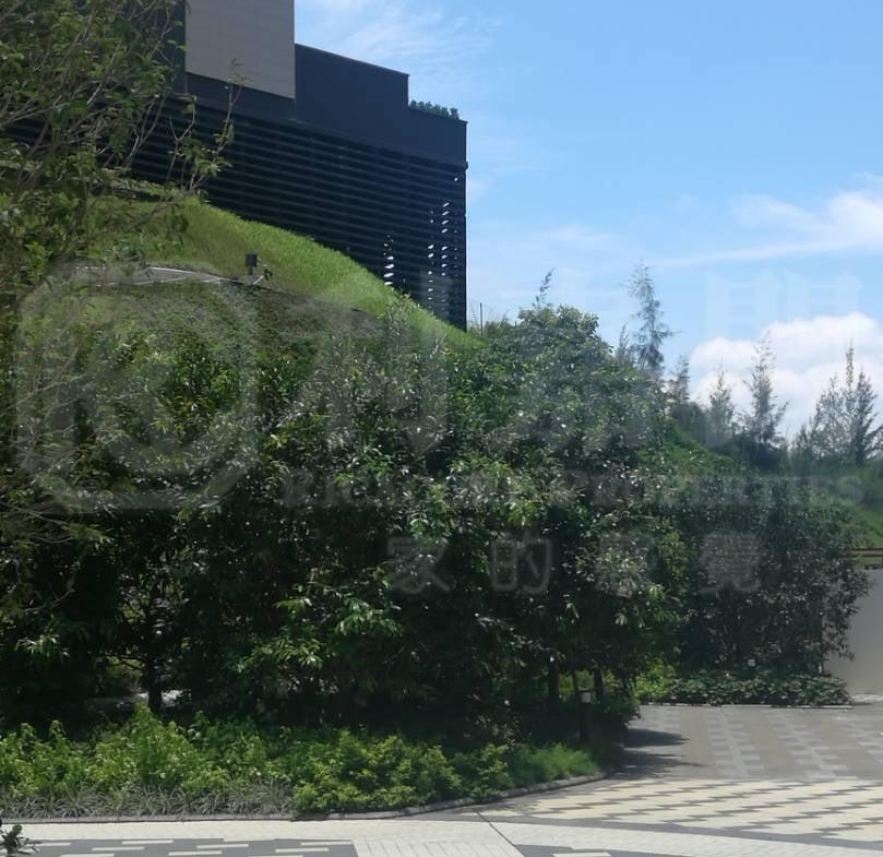 滿名山 滿庭 12座 - 28NTS – 香港北部都會區