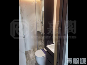 帝御 2期 帝御‧星濤 1座 - 28NTS – 香港北部都會區