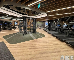 凱和山 1座 - 28NTS – 香港北部都會區