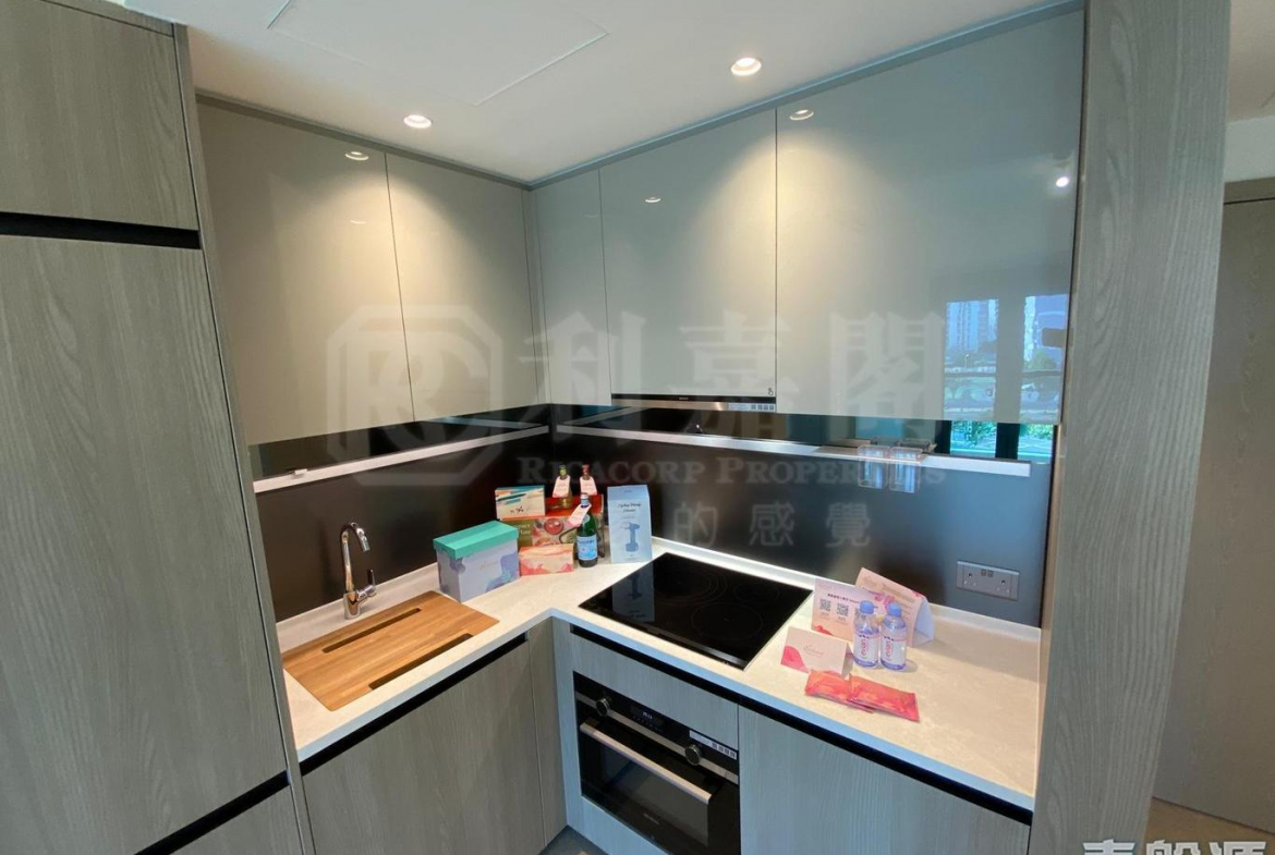 WETLAND SEASONS PARK 1期 16座 - 28NTS – 香港北部都會區