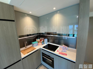 WETLAND SEASONS PARK 1期 16座 - 28NTS – 香港北部都會區