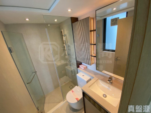 WETLAND SEASONS PARK 1期 16座 - 28NTS – 香港北部都會區