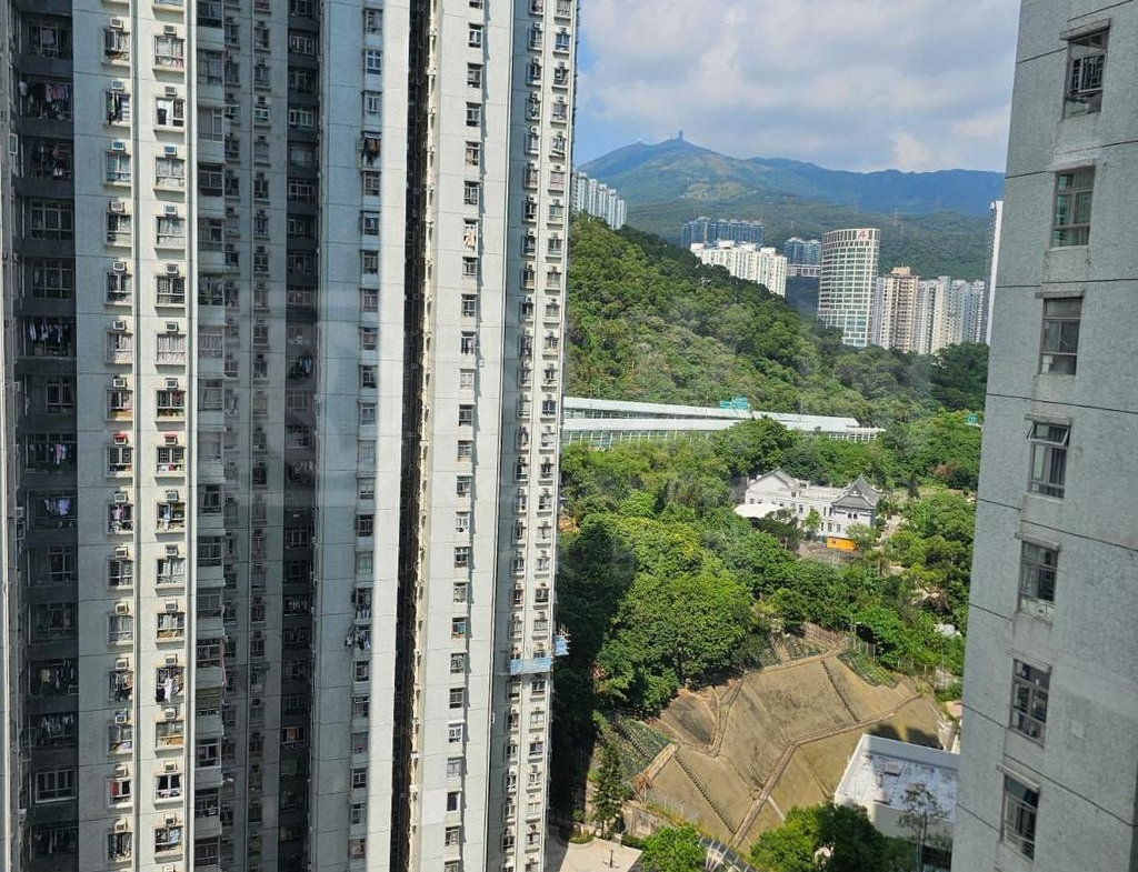 麗城花園 2期 2座 - 28NTS – 香港北部都會區