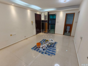 大興花園 2期 5座 - 28NTS – 香港北部都會區