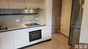 NOVO LAND 1B期 Bergen 3座 - 28NTS – 香港北部都會區