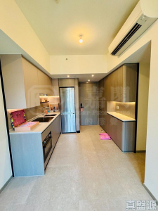 NOVO LAND 3A期 Dragor 1座 - 28NTS – 香港北部都會區