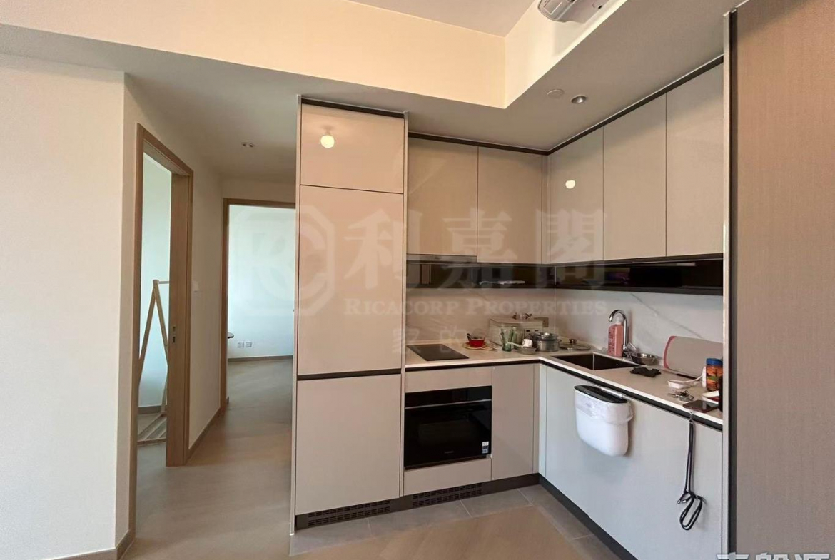 柏瓏 1B期 柏瓏 II 10座 - 28NTS – 香港北部都會區