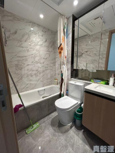 柏瓏 1B期 柏瓏 II 10座 - 28NTS – 香港北部都會區