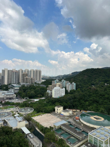 17611253641f03492e-f3af-41ae-8b5e-b1d5740dc413.jpeg 御半山 1期 1B座 - 28NTS – 香港北部都會區