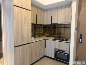 滙都 1期 滙都 I 3座 - 28NTS – 香港北部都會區