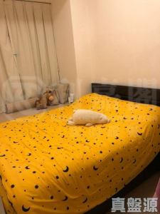 尚悅 1座 - 28NTS – 香港北部都會區